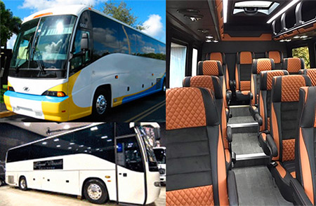Wine Tours 